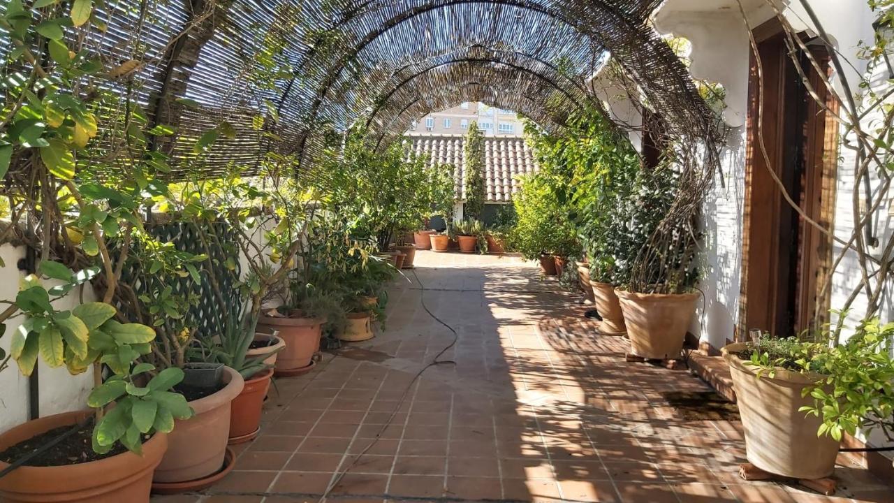 El Jardin De Wallada Cordova Esterno foto
